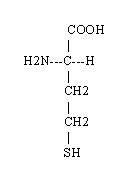L'alico : -R = -CH2-CH2-SH