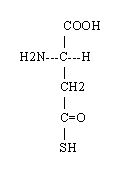 L'alina : -R = -CH2-(C=O)-SH