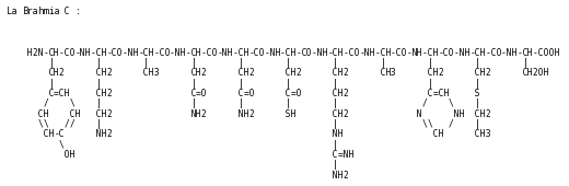 The Brahmia C, developped formula