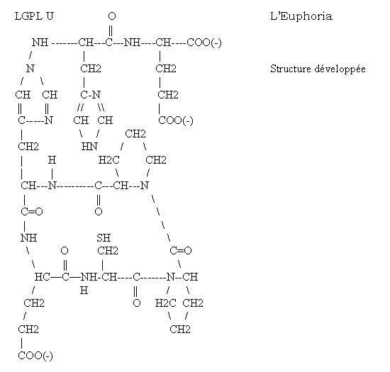 Euphoria, structure dveloppe