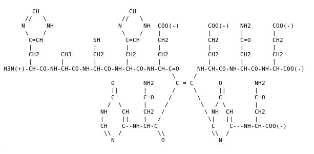 Formule dveloppe de la Schick