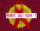 mort au virus !